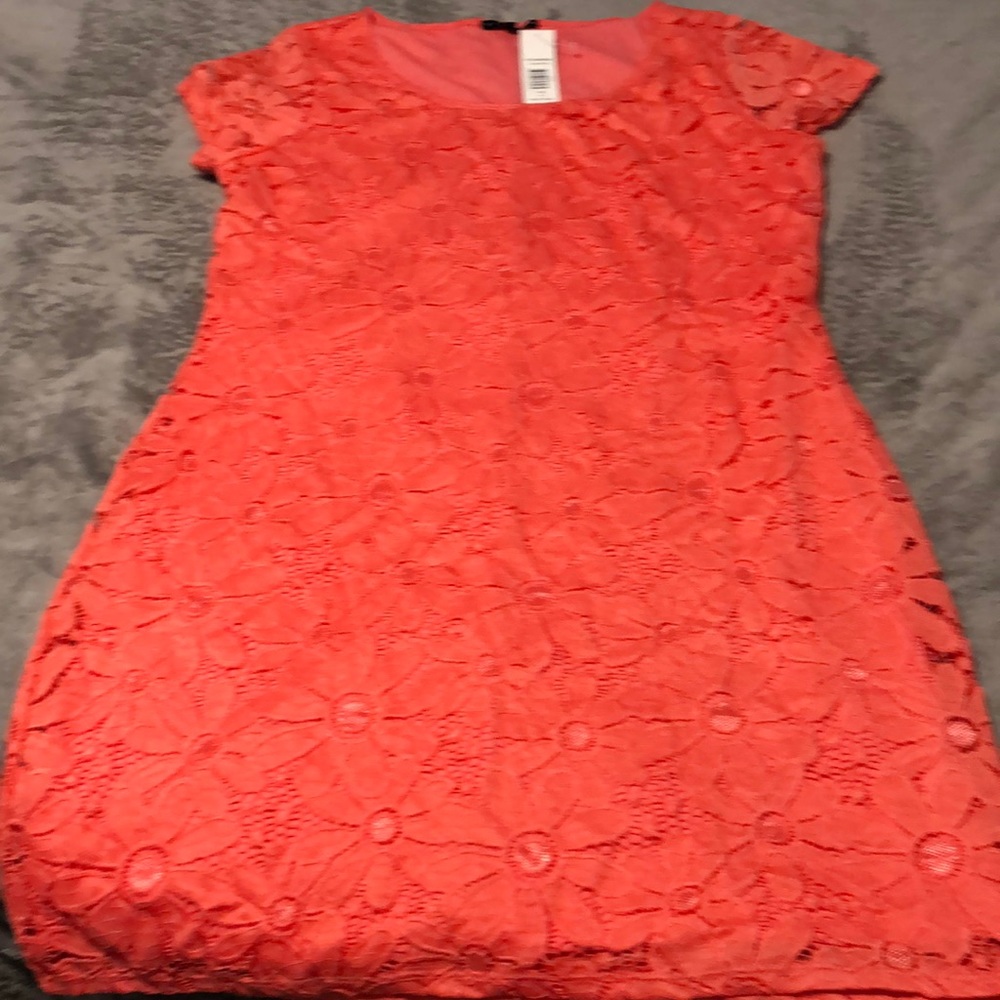 Short sleeve lace dress